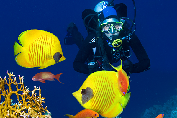 best diving in Kadavu group